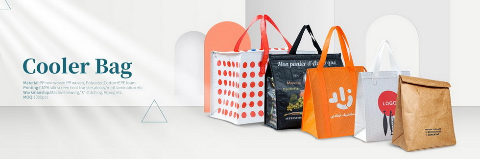 Cooler Bag