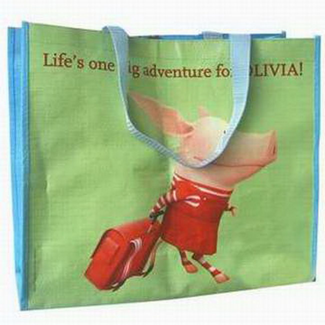 Custom Design Polypropylene Woven Shopping Carry Bag
