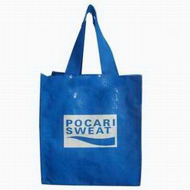 Waterproof PP Woven Promotional Shopping Hand Carry Bag