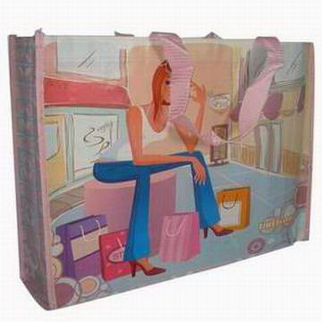 Heavy Duty Polypropylene Woven Shopping Carry Hand Bag
