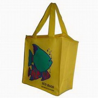 Custom Design Reusable Thermal Lunch Food Carry Tote Bag