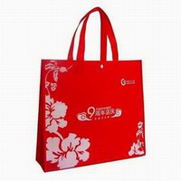 Reusable Non Woven Bag with Custom Design for Promotion