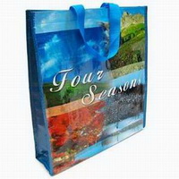Custom Waterproof Polypropylene Woven Shopping Carry Bags