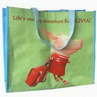Custom Design Polypropylene Woven Shopping Carry Bag